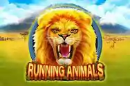 Running Animals44